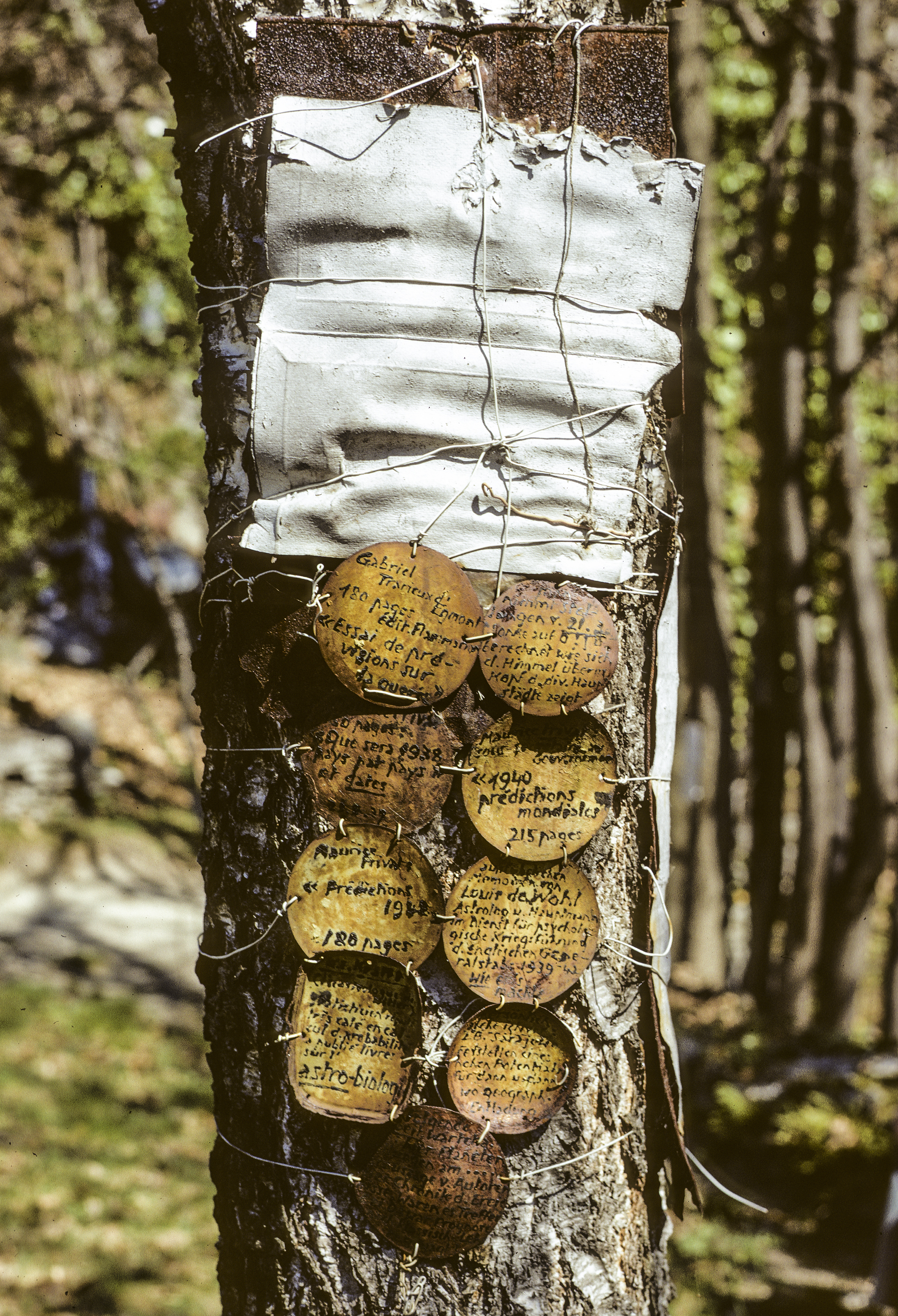 © Hans-Ulrich Schlumpf