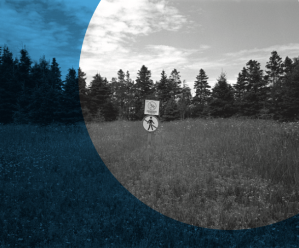 Concert NEC Animales